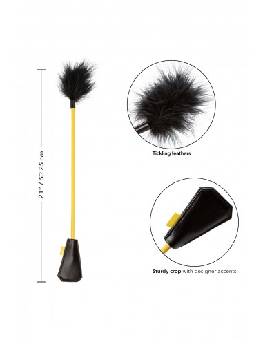 Frustino bicolore Boundless Feather Crop