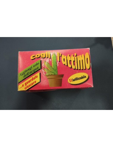 Piantina " Cogli l'attimo "