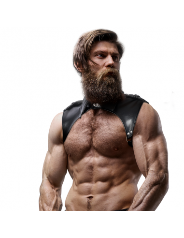 IMBRAGATURA DA COLLO IN ECOPELLE...