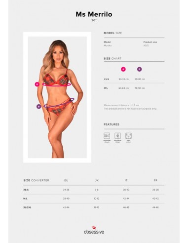 Set di lingerie in tulle composto da...