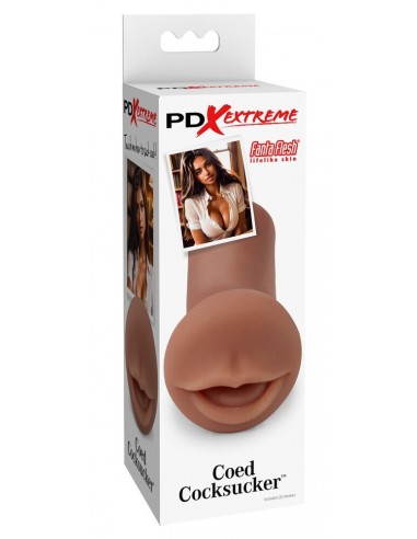 Masturbatore Coed Cocksucker con un...