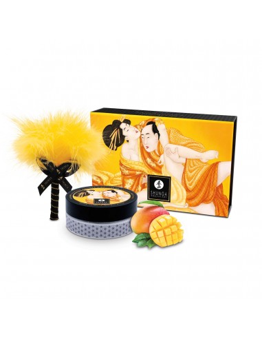 SHUNGA - KIT POLVERE DA MASSAGGIO...
