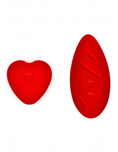 slip di pizzo rosso, uno stimolatore...