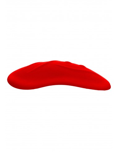 slip di pizzo rosso, uno stimolatore...