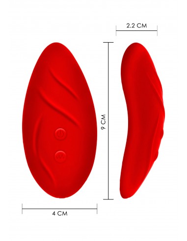 slip di pizzo rosso, uno stimolatore...