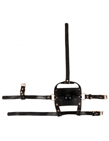 Imbracatura per la testa di alta...