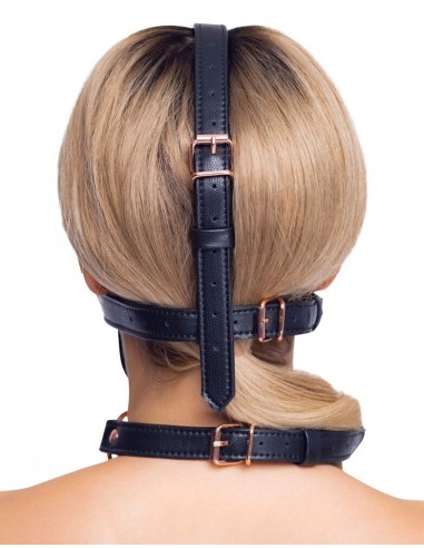 Imbracatura per la testa di alta...