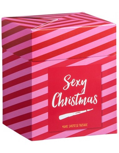 Box 6 pezzi 'Sexy-Christmas'