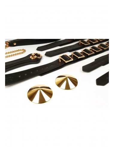 Set Desires Masterpiece Case -...
