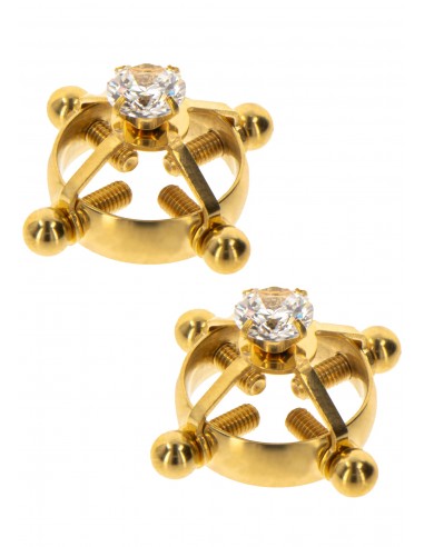 Morsetti per capezzoli a croce oro...