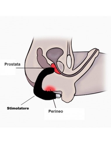 EBONY PROSTATE MASSAGER 19 CM -...