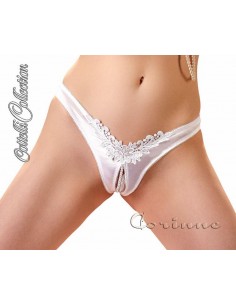 Tanga aperto al cavallo con... 2