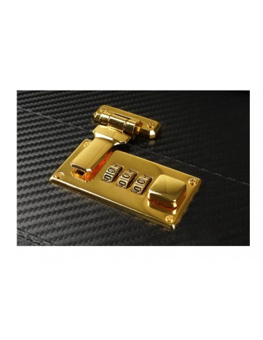 Set Desires Masterpiece Case -...