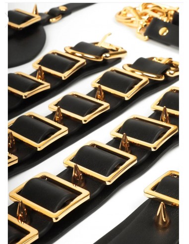 Set Desires Masterpiece Case -...