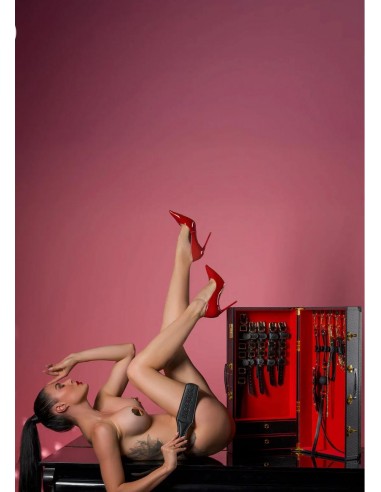 Set Desires Masterpiece Case -...