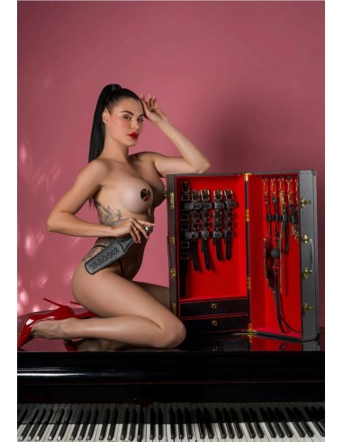 Set Desires Masterpiece Case -...