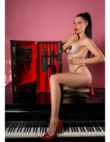 Set Desires Masterpiece Case -...