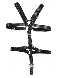 Imbracatura - Harness