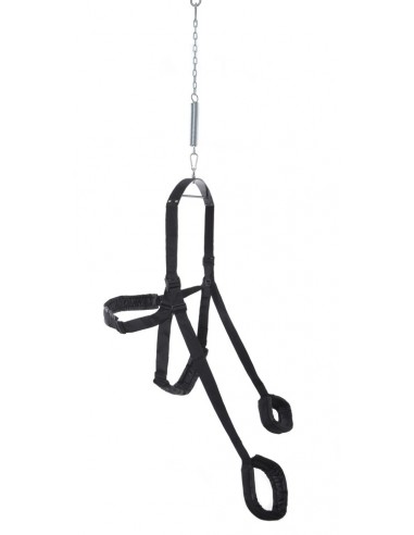 Altalena Fetish Fantasy Fantasy Swing