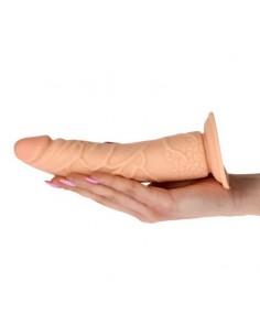 Fallo Realistico Real... 2