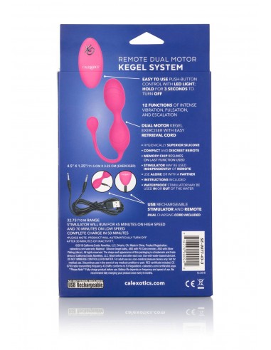 Remote Dual Motor Kegel System