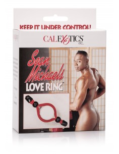 Sean Michaels Love Ring 2