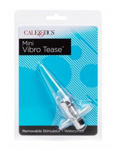 Plug Anale Vibrante Dildo... 2