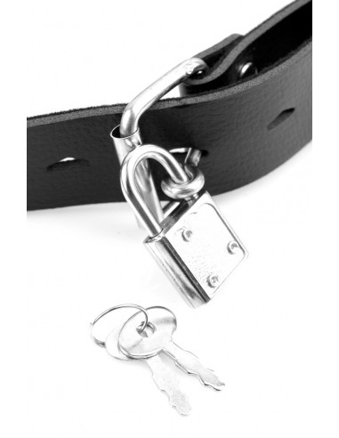 Deluxe Ball Gag with Dildo