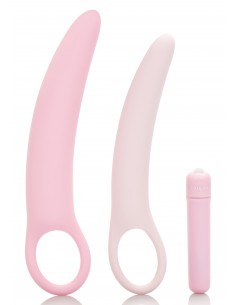 Vibrating Dilator 3pcs Set
