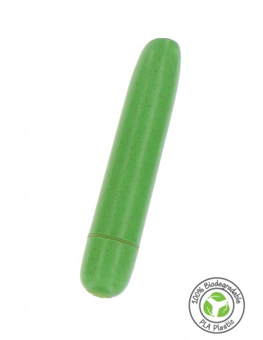 Bullet vegano Bio Bullet