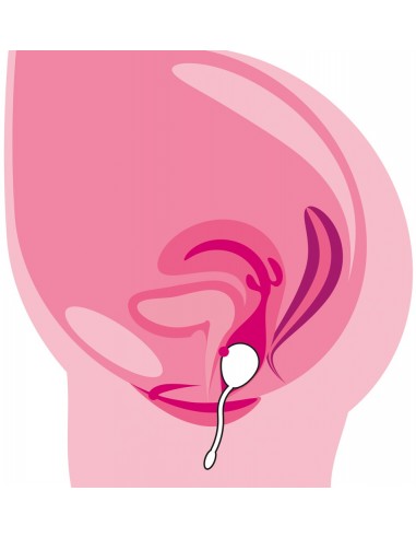 sfera vibrante remota RC Love Ball